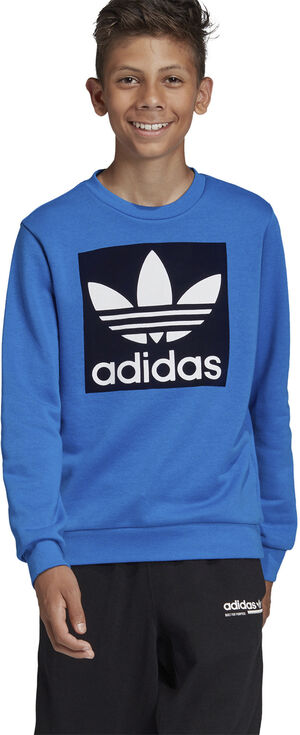 Trefoil Crew sweatshirt