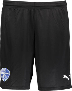 FC Skanderborg Teamgoal 23 Fodboldshorts