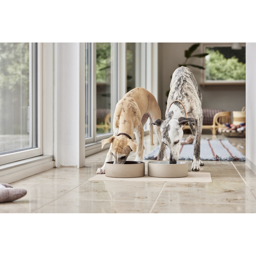 Koko Hundesk&aring;l M&aring;tte