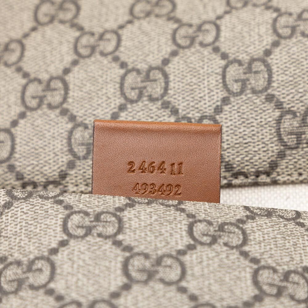 Gucci Crossbody Bag