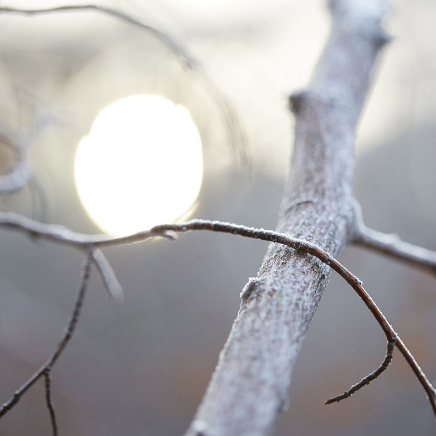 Maison Margiela Replica By the Fireplace
