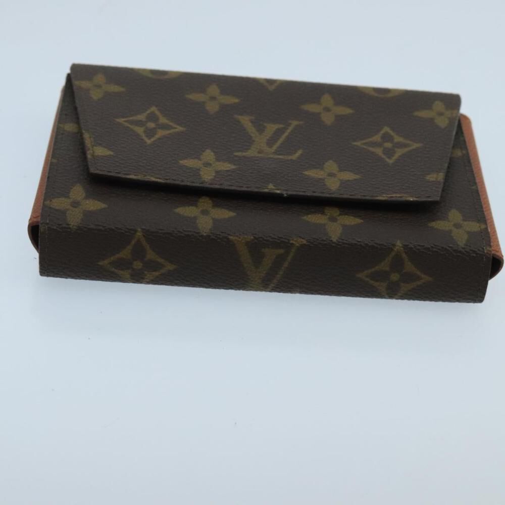 Louis Vuitton Pouch