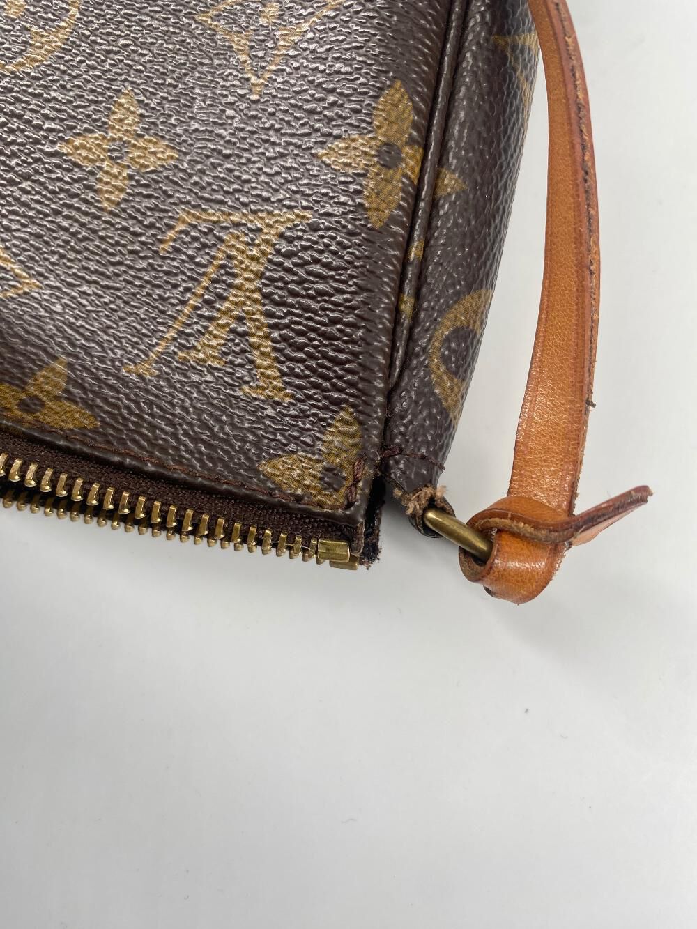Louis Vuitton Pochette Accessoires