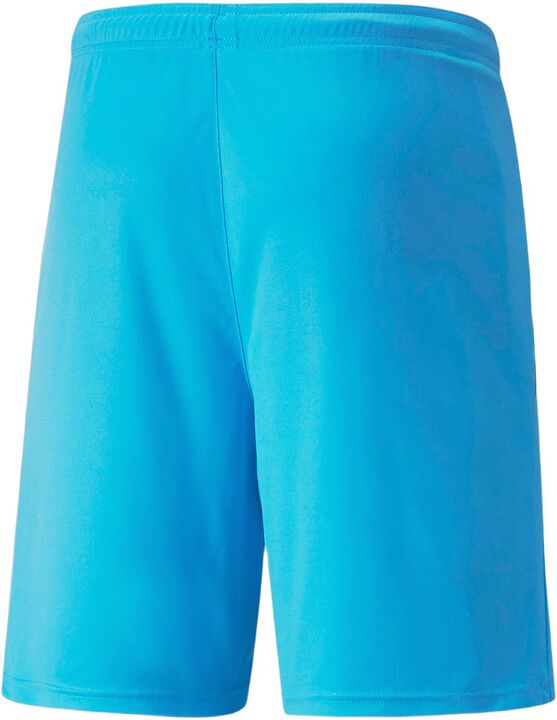 Teamliga shorts