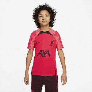 Liverpool FC Strike Dri-FIT T-shirt