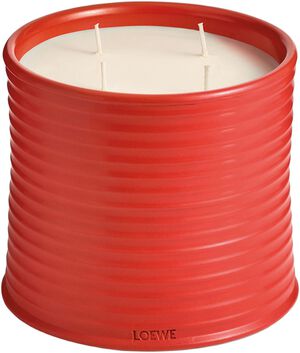 LOEWE L Tomato Candle