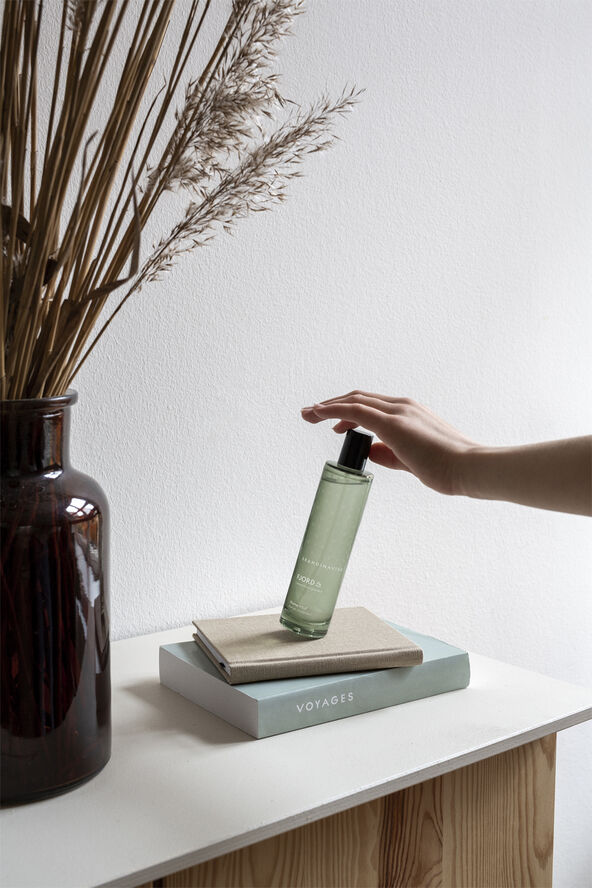 Home Mist FJORD 100ml