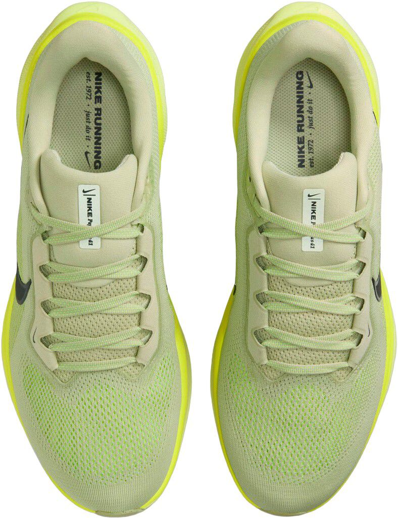 Pegasus 41 L&oslash;besko