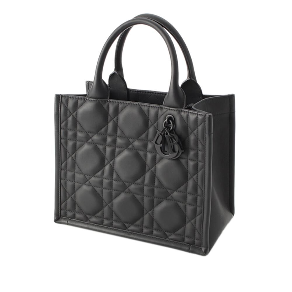 Dior Book Tote