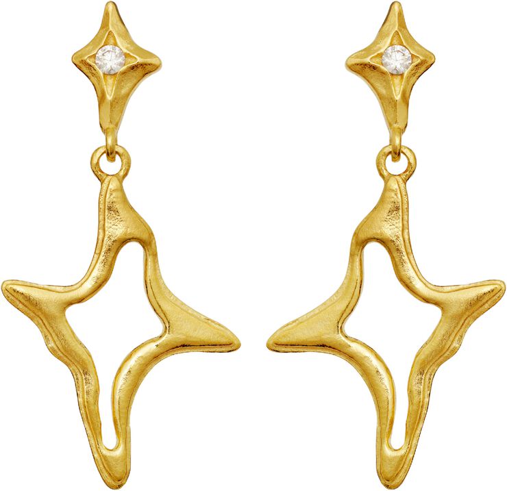 Roxy Earrings