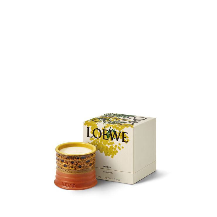 LOEWE Mimosa Textur Small Candle