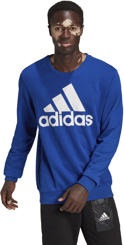 Essentials Big Logo sweatshirt
