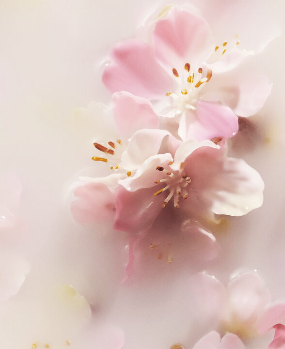 Life is a Journey - Sakura Car Perfume