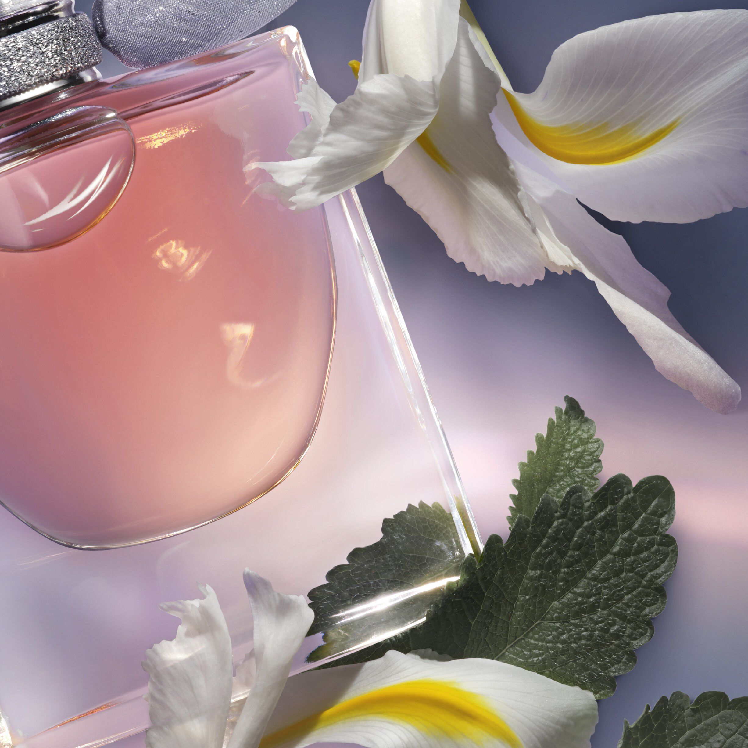 LC LVEB EDP V150ml/NP