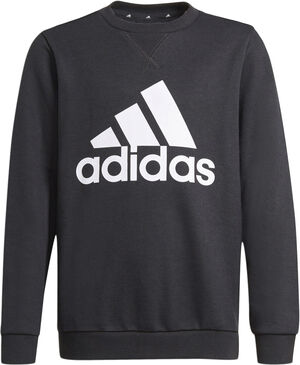 Essentials sweatshirt