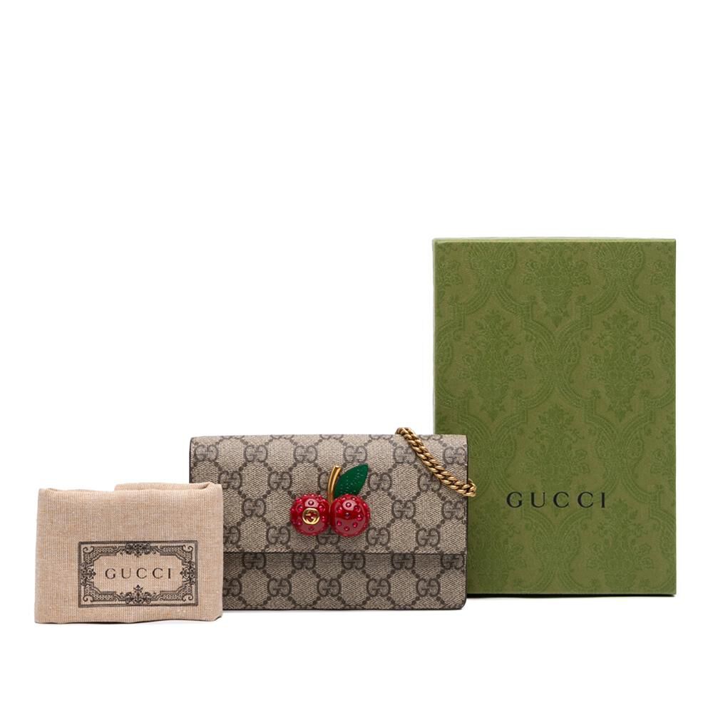 Gucci Crossbody Bag