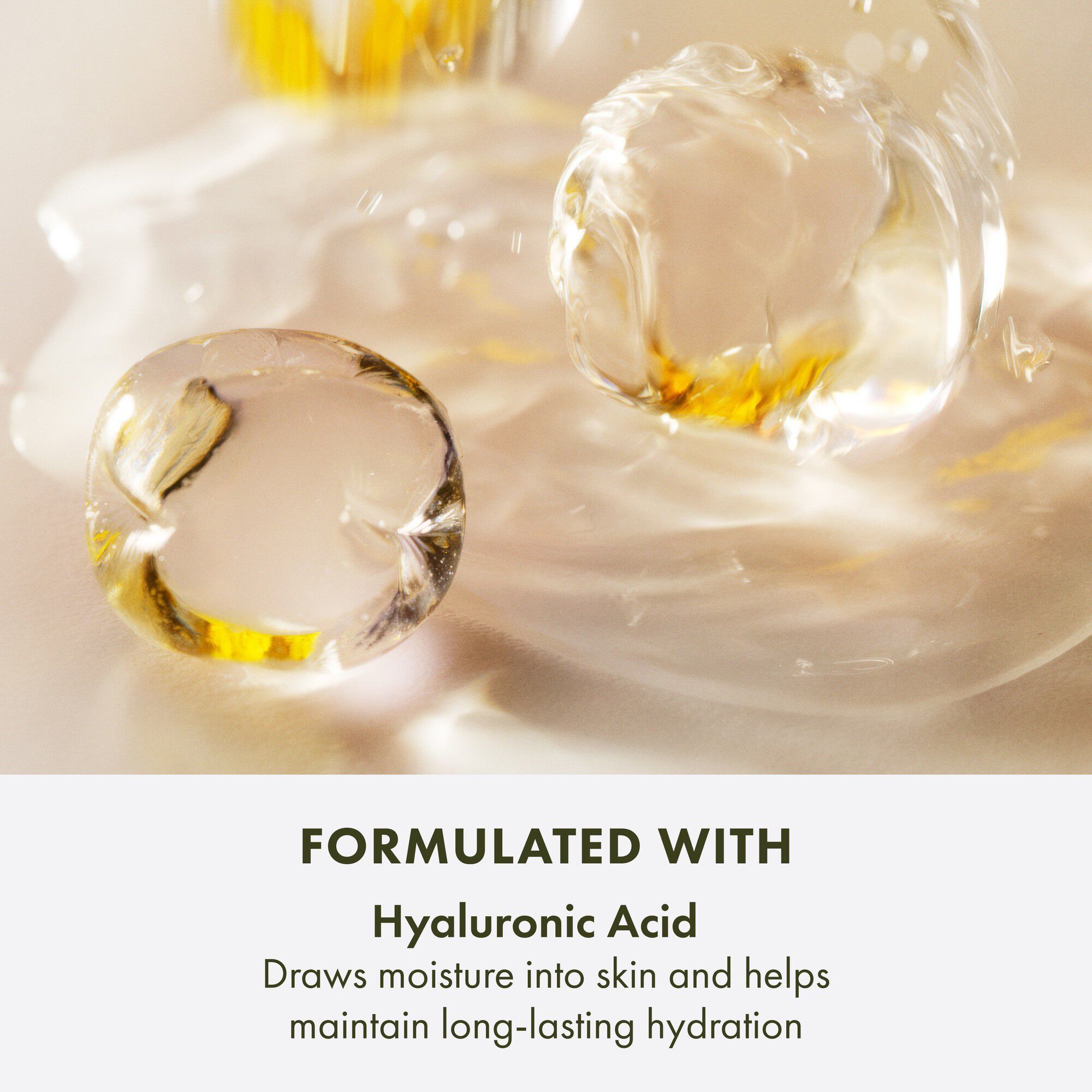 GinZing SPF 30 Daily Moisturizer