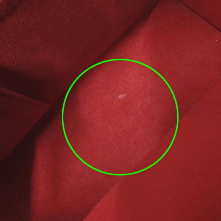 Louis Vuitton Triana