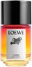 LOEWE Paul Ibiz Cosm EDP 50 ml