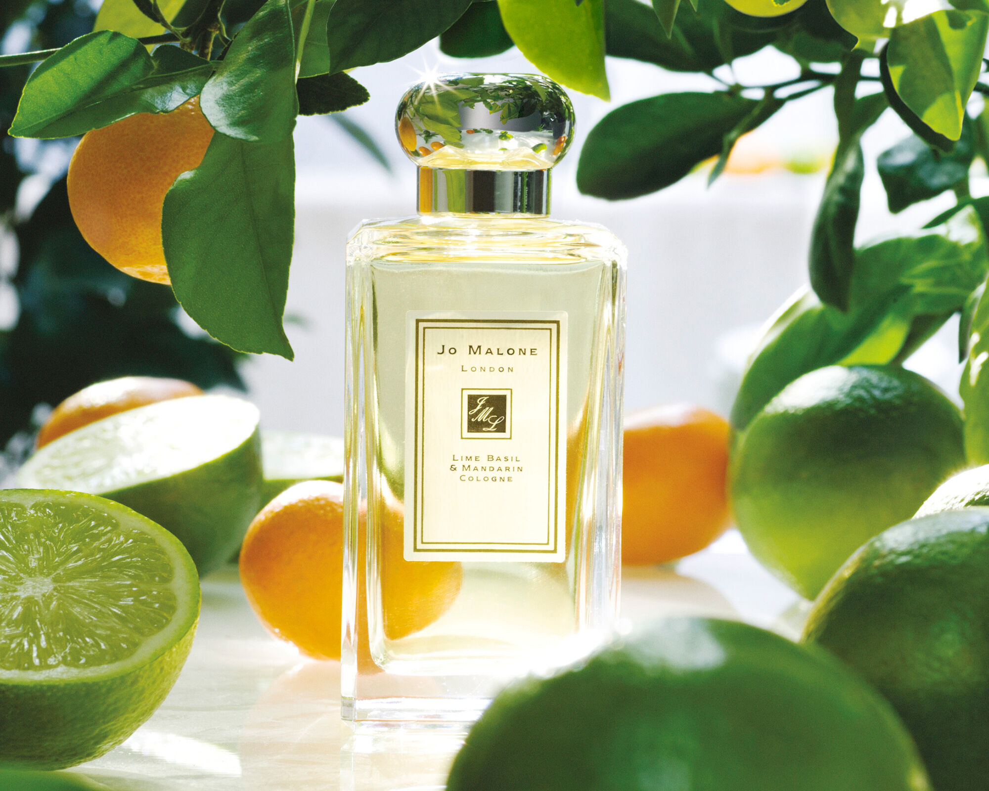 Lime Basil & Mandarin Cologne