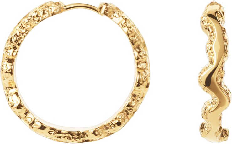 Large Shiny Sparkly Hoops