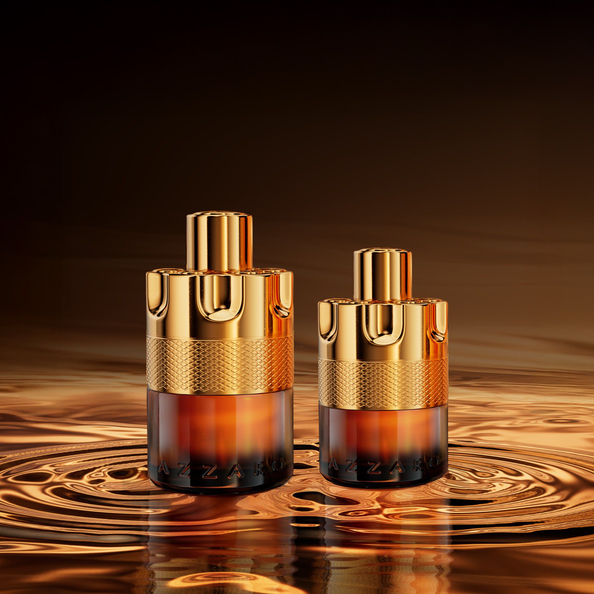 MOST WANTED FOREVER ABSOLU