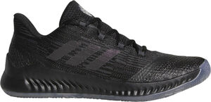 Harden B/E 2