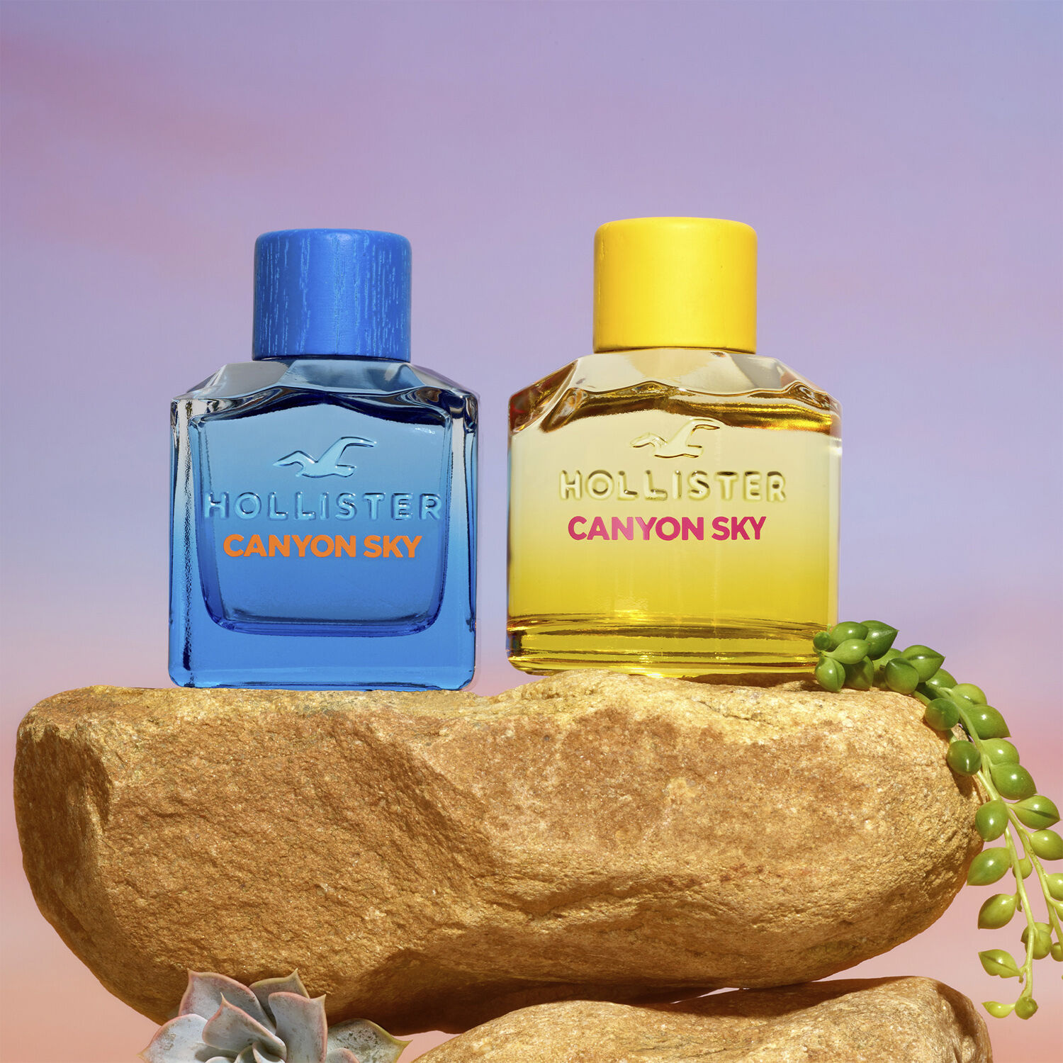 Hollister Canyon Sky For Her Eau de Parfum