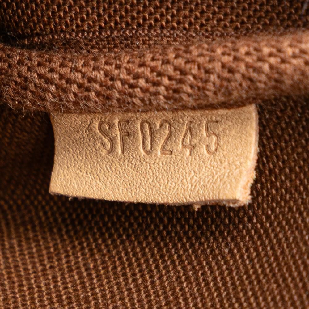 Louis Vuitton Pochette Accessoires