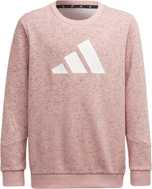 Future Icons 3-Stripes sweatshirt