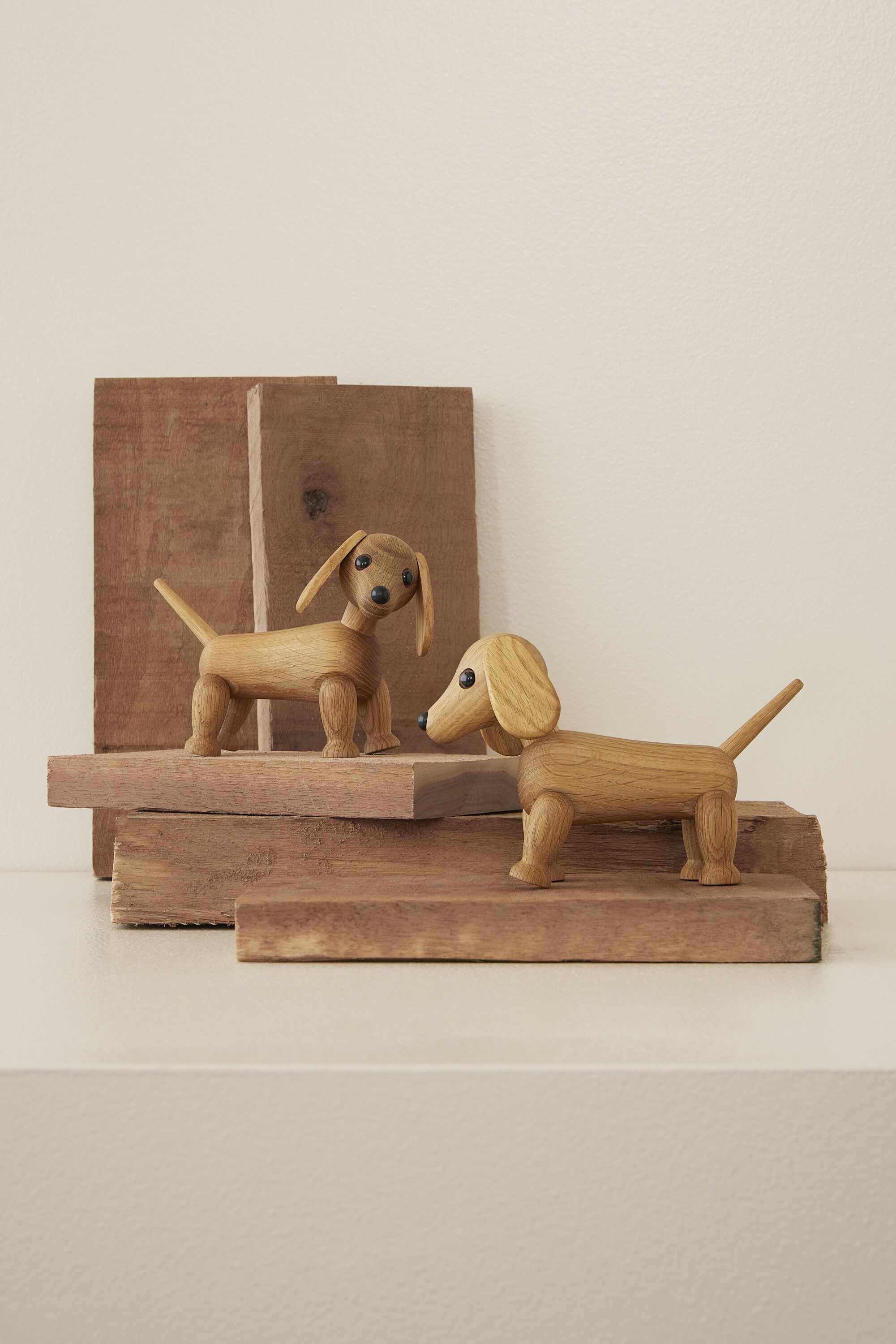 Amigo, lille gravhund
