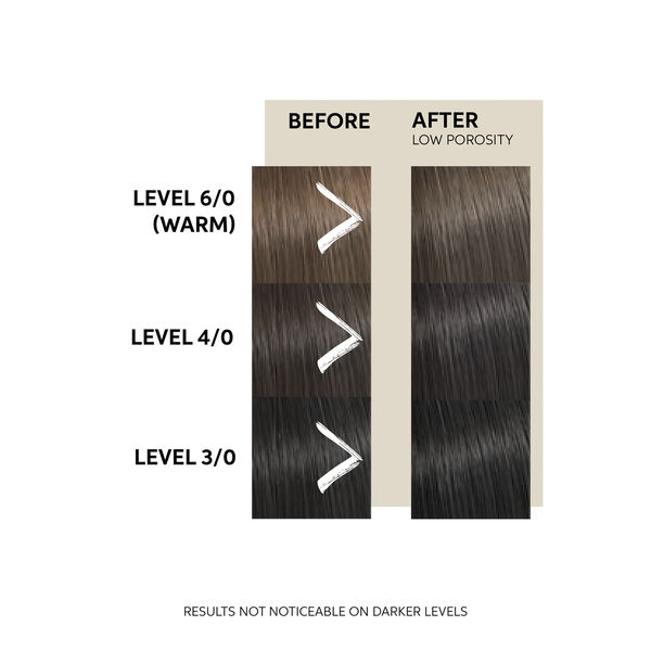 WP Color Fresh Mask COOL ESPRESSO