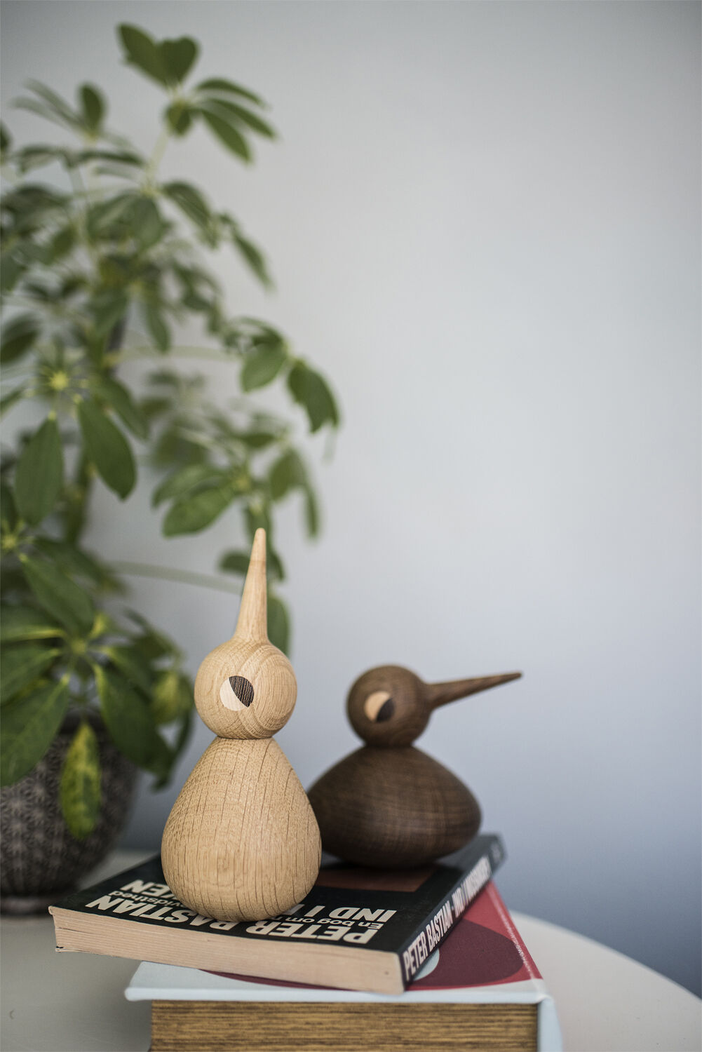 Bird stor egetr&aelig; natur