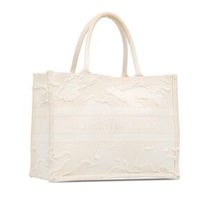Dior Book Tote