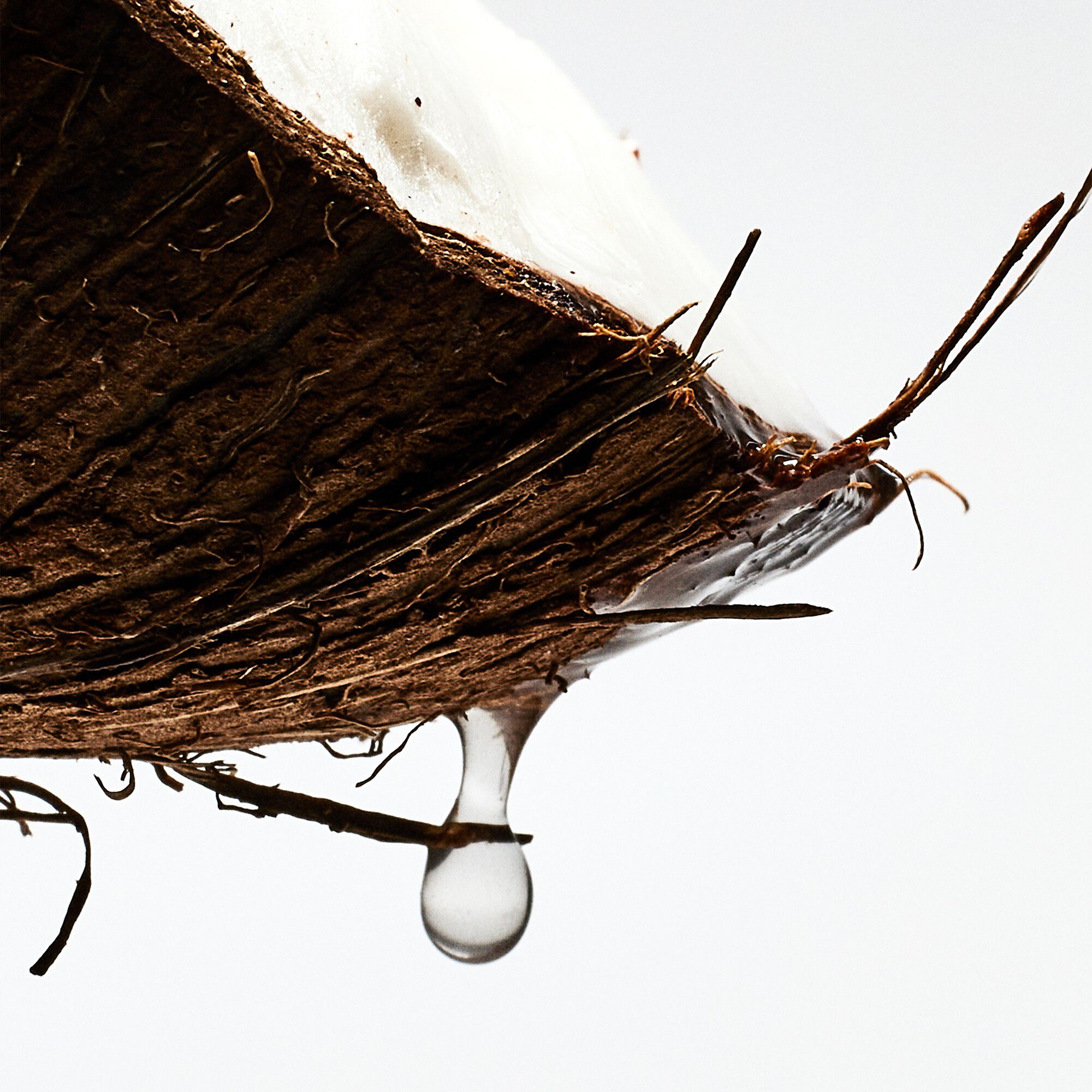 LOEWE Paulas Ibiza Eau de Toilette