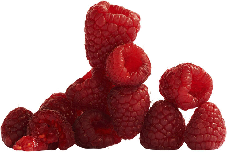 Lady Million Deodorant Spray 150 ml.