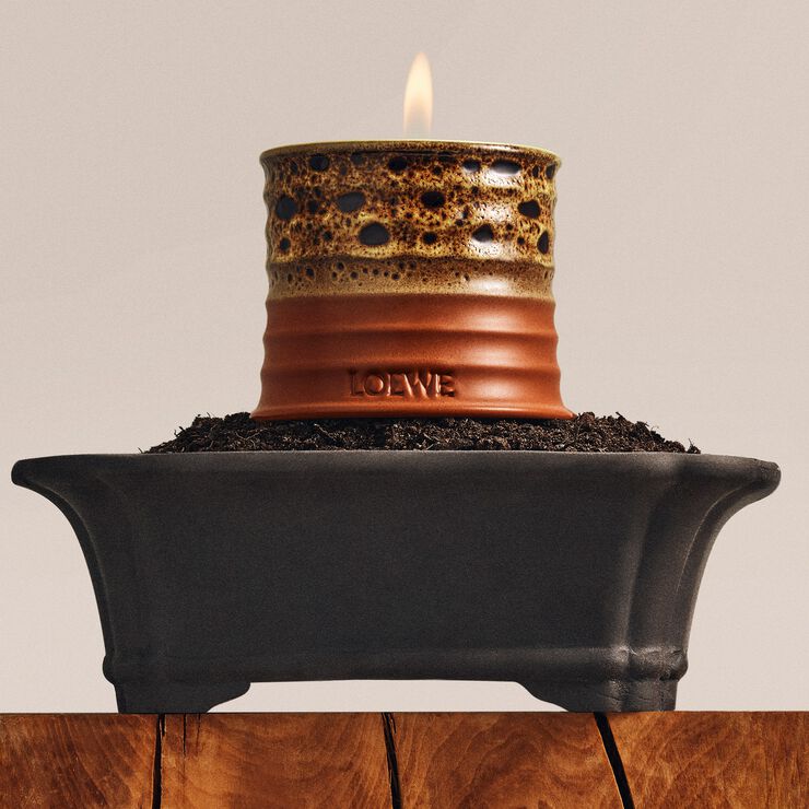 LOEWE Mimosa Textur Small Candle