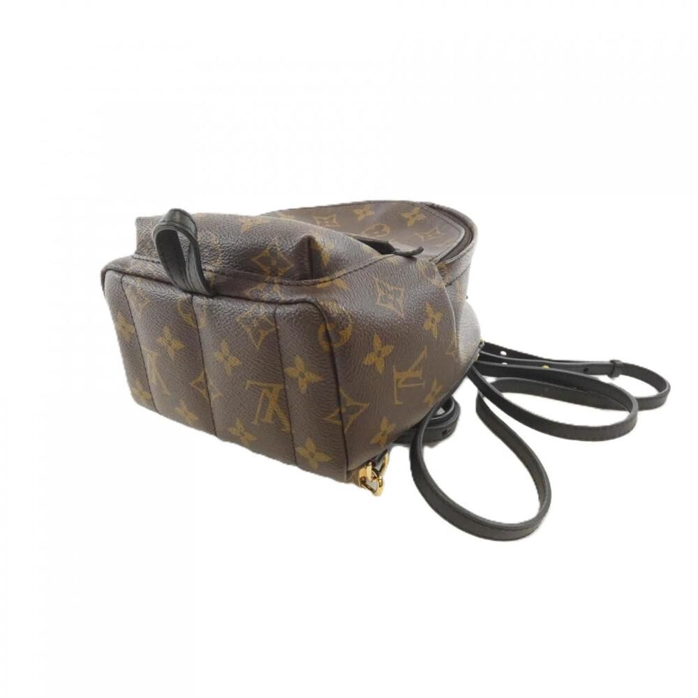 Louis Vuitton Palm Springs