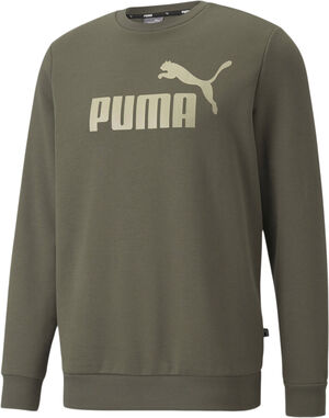 Essentials Big Logo sweatshirt
