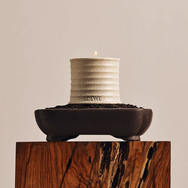 LOEWE Tuberos Textur Small Candle