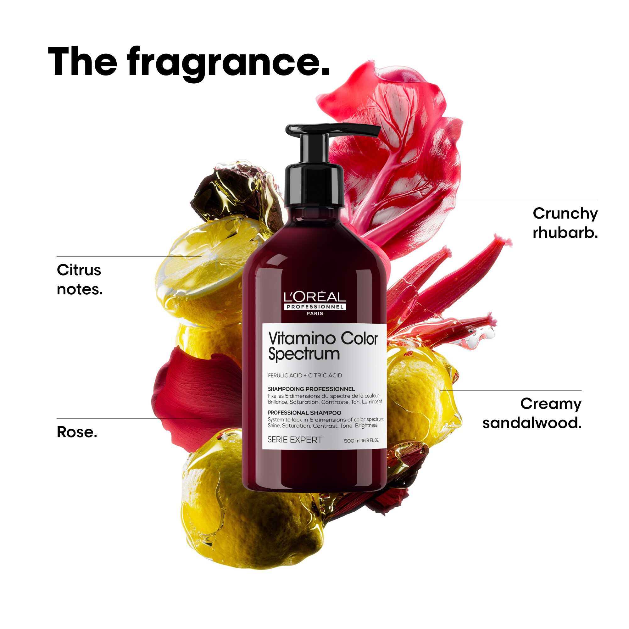 L'Or&eacute;al Professionnel Vitamino Color Spectrum Shampoo 500ml