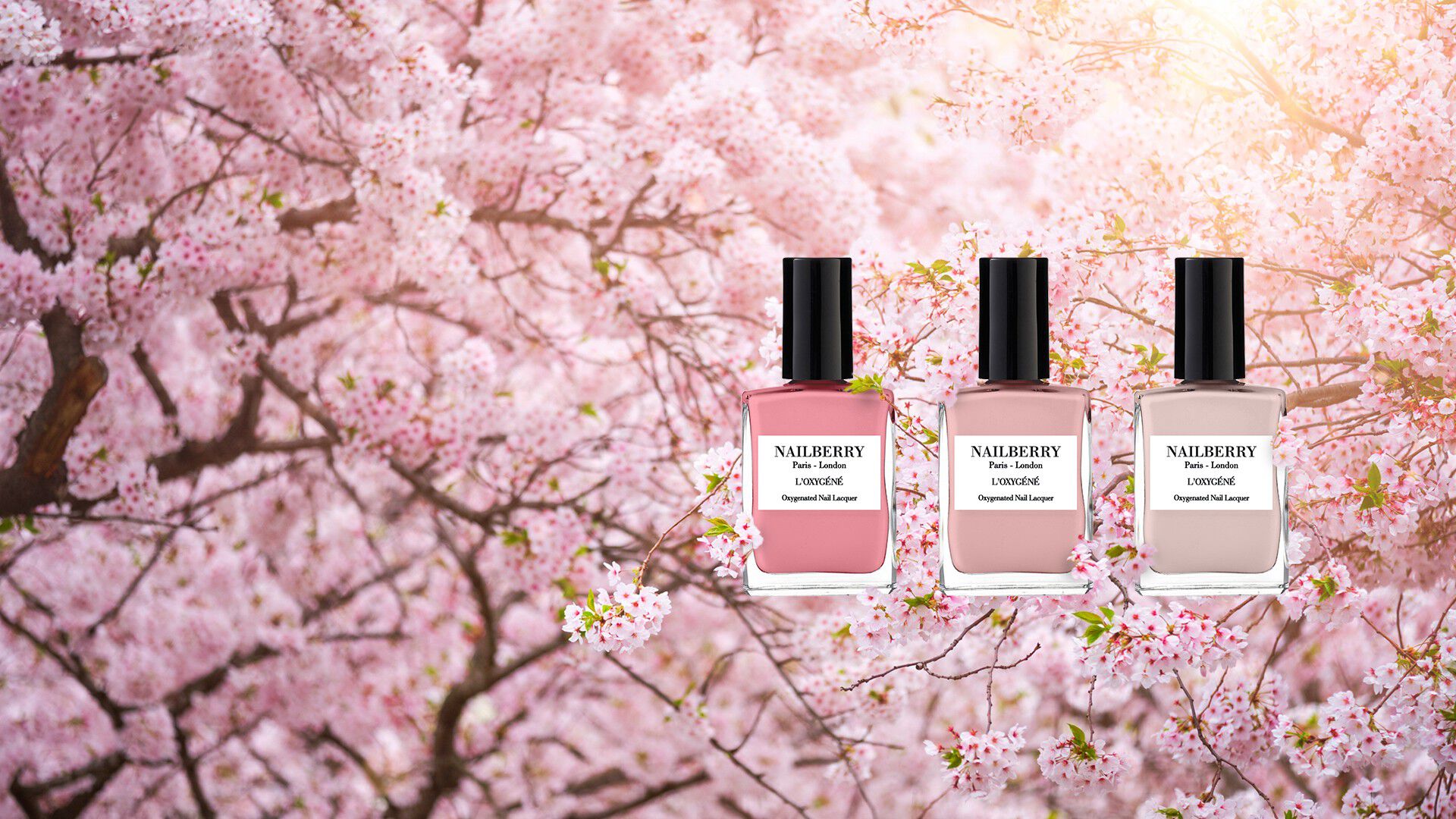 NAILBERRY Kyoto Bloom