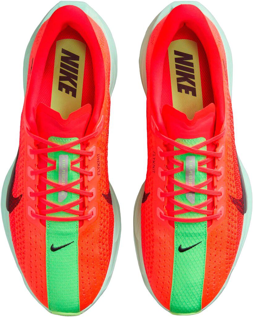 Pegasus Plus L&oslash;besko