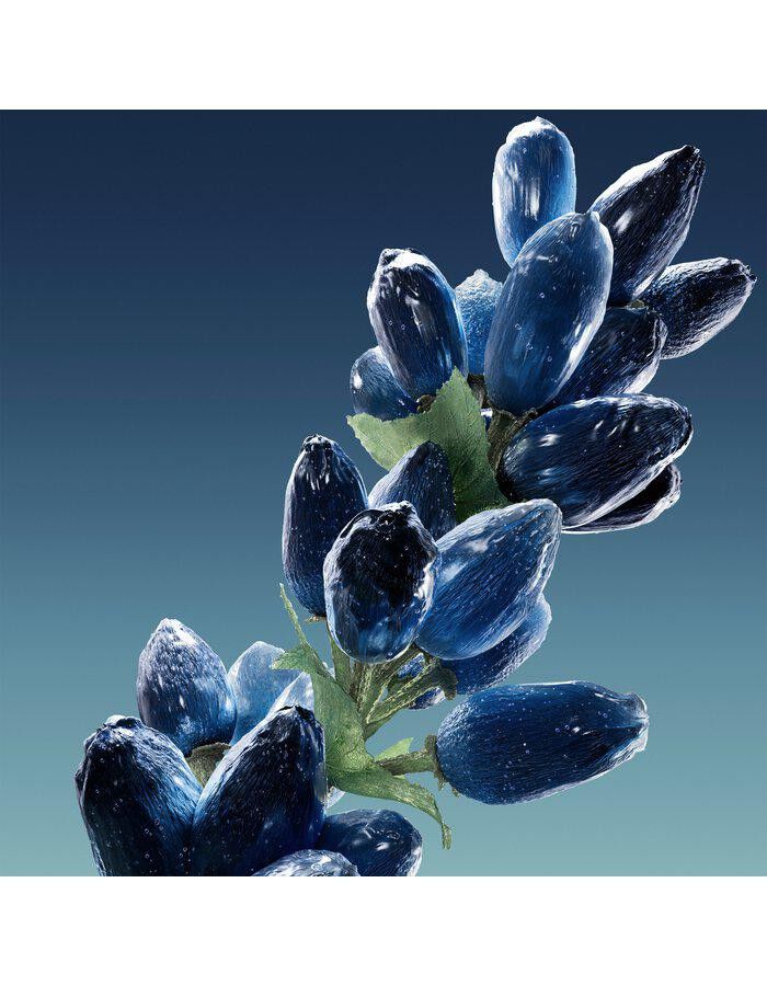 Bottled Bold Lavender EdP