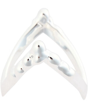 Drippy V-Ring