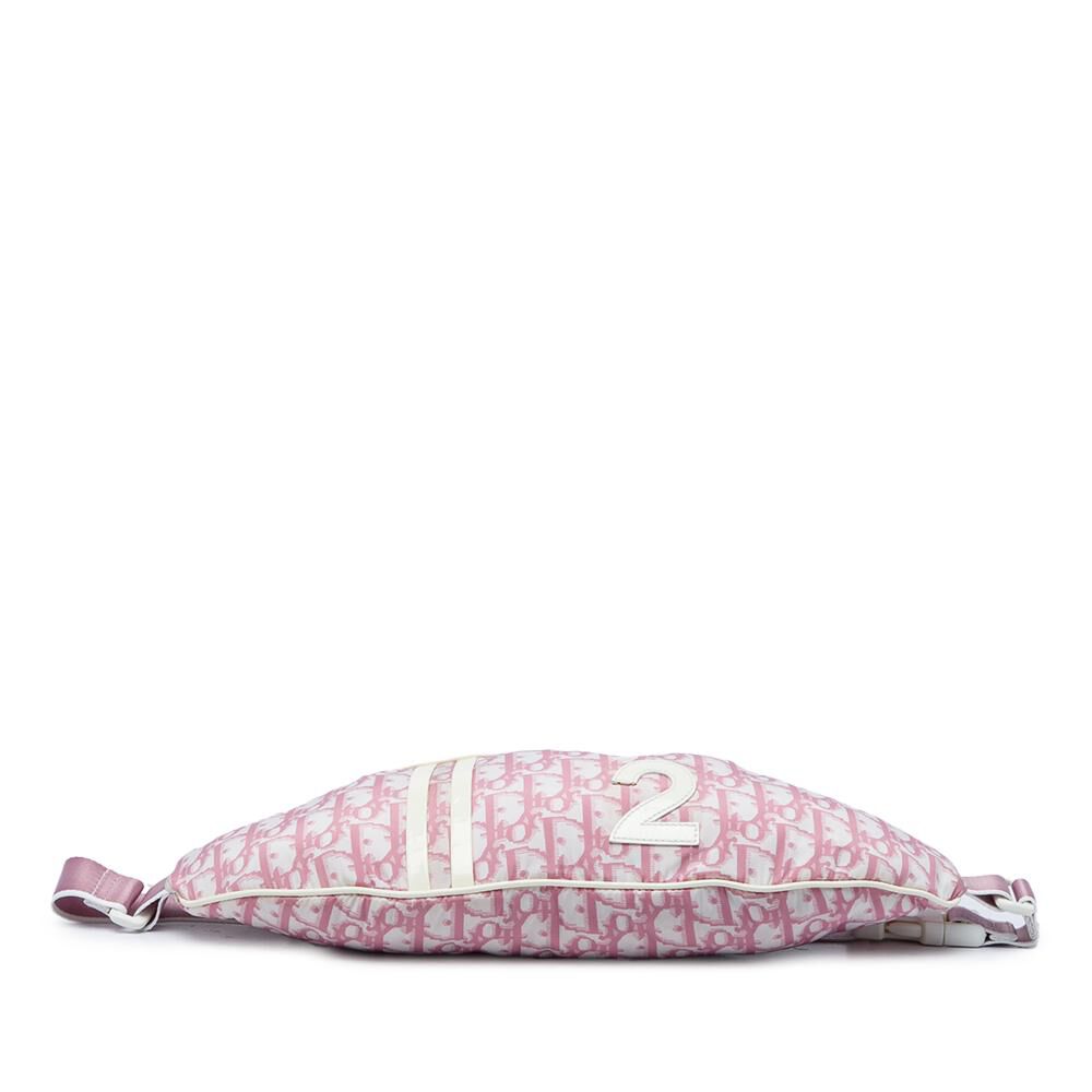 Dior Belt Bag