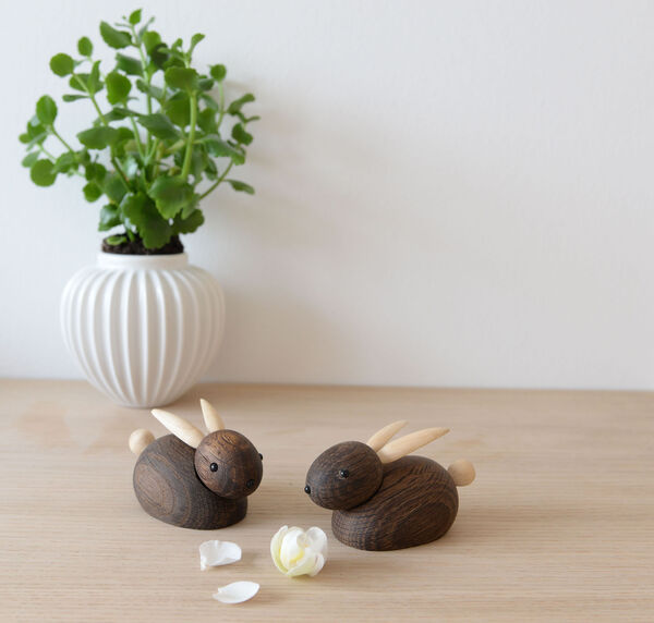 Skjøde kanin røget eg