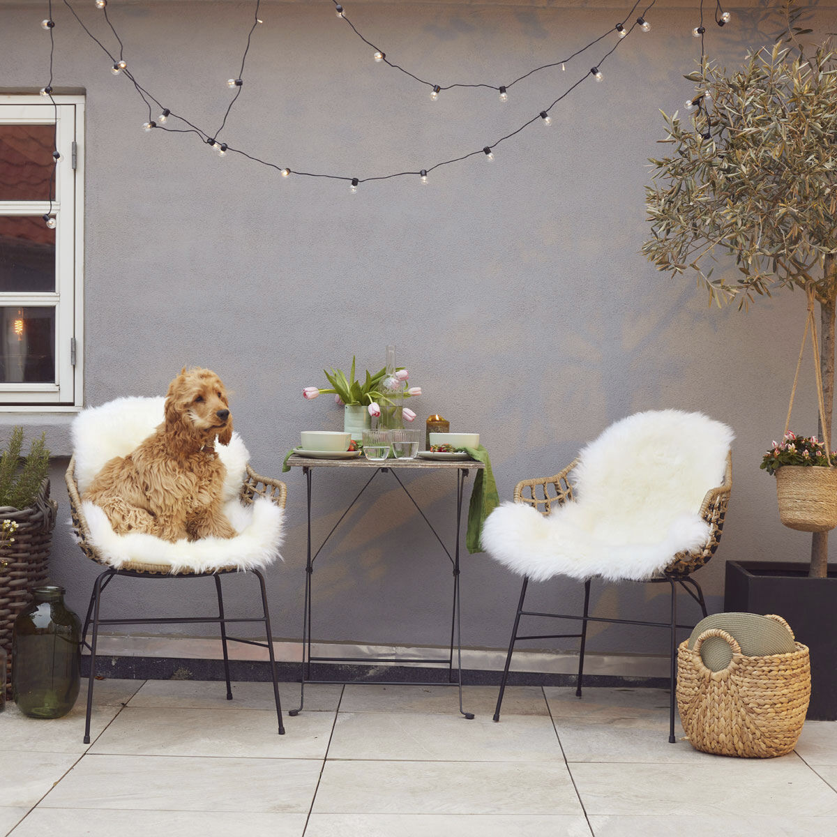 90cm-up New Zealand Sheepskin, Long Wool Ivory 95x60