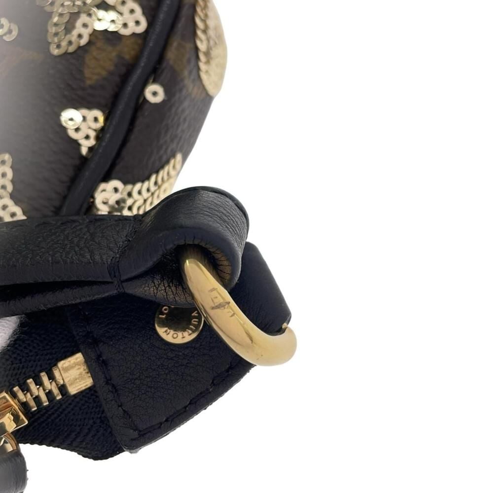 Louis Vuitton Pochette Accessoires