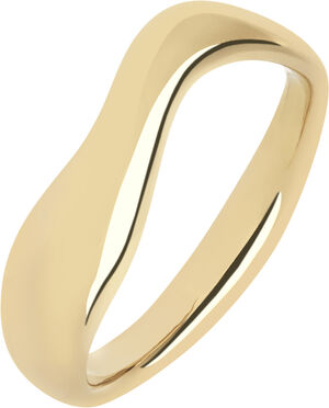 Vayu Ring